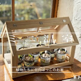 ミニ温室の画像