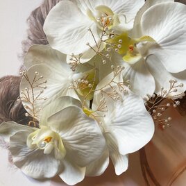 胡蝶蘭　シードパール　髪飾り　花嫁　振袖　成人式の画像