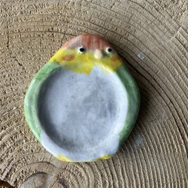 インコ豆皿.小皿　【シロハラインコ】の画像