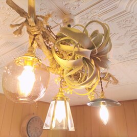 ペンダントライト 照明 おしゃれ 流木 リビング  ダイニング キッチン ライト