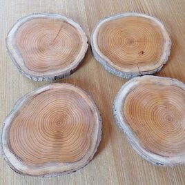 年輪コースター（一枚）材木：イチイの画像