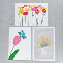 春の花のポストカード　3枚セットの画像