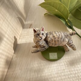 置物にもなる木彫り猫のブローチ　サバトラ（専用台付）の画像