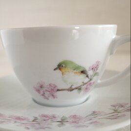メジロと桜のカップ&ソーサー