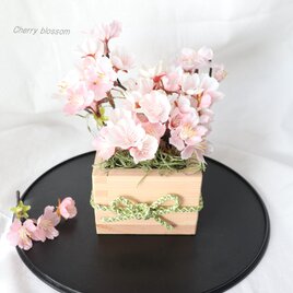 枡に桜（アーティフィシャルフラワー）の画像