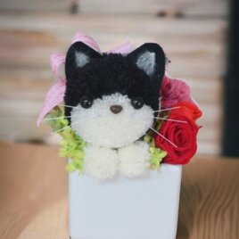 もこペット【黒猫】 プリザーブドフラワー  ハチワレ 猫 花 ペット お供え 誕生日 母の日 プレゼントの画像
