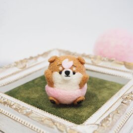 【受注製作】‐春限定‐桜パンツのまゆ柴犬の赤ちゃん(赤柴・黒柴・白柴)　羊毛フェルトの画像
