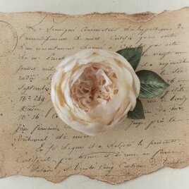 〈染め花〉イングリッシュローズのコサージュ（中輪カップ咲・アンティークホワイト)の画像