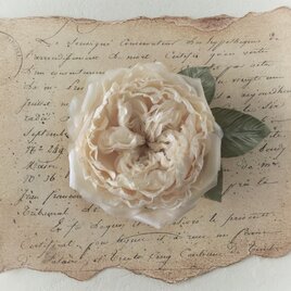 〈染め花〉イングリッシュローズのコサージュ（中輪・アンティークホワイト)の画像
