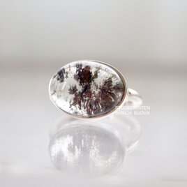 [earth garden quartz]ringの画像