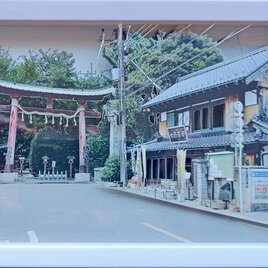【アニメ聖地巡礼】らき☆すた　鷲の宮神社の画像