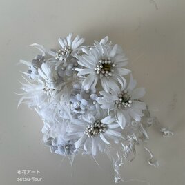 23  真っ白な花の画像