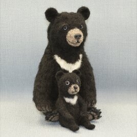 ツキノワグマ親子＊クロクマ＊親子クマの画像