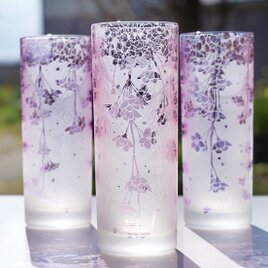 枝垂れ桜のコリンズグラスの画像