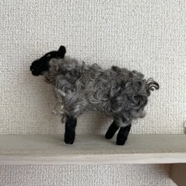 ゴットランドの羊の画像