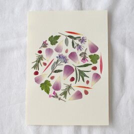 【母の日】Pressed flower 〜押し花アート〜A5 Mother's Day  フレーム無しの画像