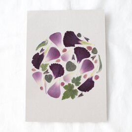 【母の日】Pressed flower 〜押し花アート〜A5 Mother's Day  フレーム無しの画像