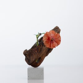世界にたったひとつあなただけの流木一輪挿し | driftwood flowervase | tane no.2の画像