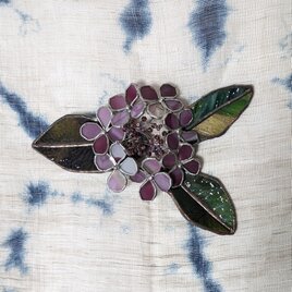 紫陽花（紫）の画像
