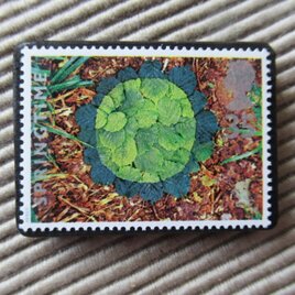 イギリス　化石切手ブローチ 9619の画像