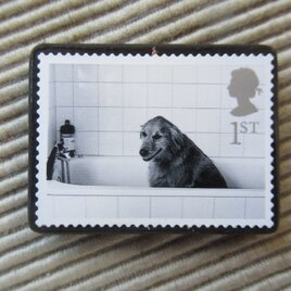 イギリス　犬切手ブローチ 9639の画像