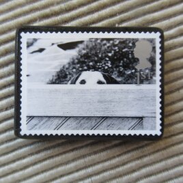イギリス　犬切手ブローチ 9642の画像