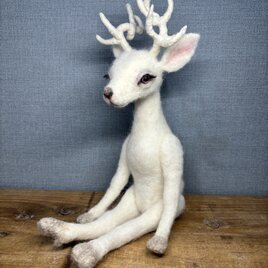 ホワイトディア＊White Deer＊鹿＊雄鹿＊アルビノの鹿の画像