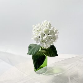 布花　飾って楽しむ白い紫陽花の画像