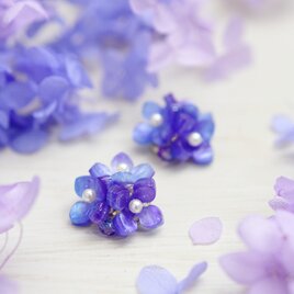 【ピアス】ガクアジサイ（額紫陽花） パープル系の画像