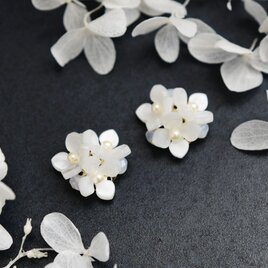 【ピアス】ガクアジサイ（額紫陽花） ホワイトの画像