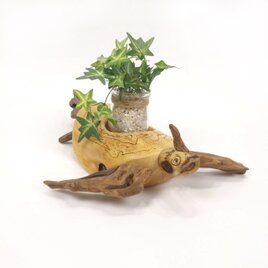 【温泉流木】個性あるウミガメが運ぶ流木グリーンスタンドとさか 置台 オブジェ 流木インテリアの画像