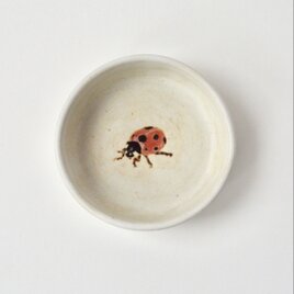 小皿 ( 深め ) - てんとう虫の画像