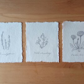 【貼るインテリア 3種セット】オーガニックコットン ハーブ ポストカード 植物 ボタニカル 花 アート イラスト オーガニックの画像
