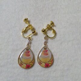 ボタンインコのイヤリング