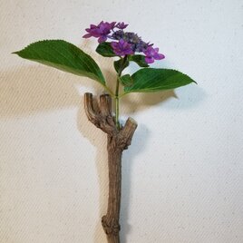 壁掛け　一輪挿し2　南天　ナンテン　自然木　難を転ずる　無塗装