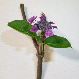 壁掛け　一輪挿し3　南天　ナンテン　自然木　難を転ずる　無塗装の画像