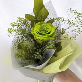 プリザーブドフラワー大輪の緑の薔薇とグリーンの緑づくしの花束（花束ラッピング）の画像