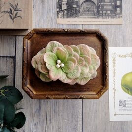 花びらのバレッタ  Lサイズ ■ フラットデザイン コットンパール ■ グリーンピンク