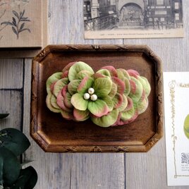 花びらのバレッタ  Lサイズ ■ フラットデザイン コットンパール ■ グリーンレッド