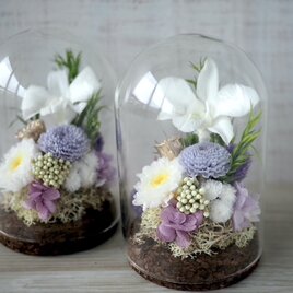 お供え花 ガラスドーム   -デンファレ パープル-の画像