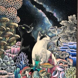 「星降るキノコの森」F10サイズ アート作品 原画 徳島洋子作品 猫 アクリル画の画像