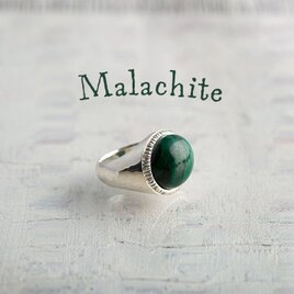 リング Délice Filo マラカイト シルバー 受注生産３〜４週間の画像