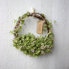 アナベルとカスミソウのふわっとリース