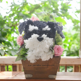 フラワーペット【シュナウザー】プリザーブドフラワー 母の日 カーネーション 犬 花の画像