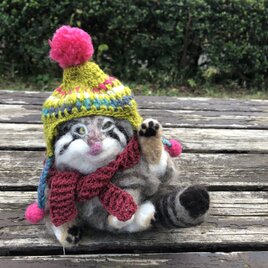 松山庭園美術館「猫ねこ展審査員特別賞」受賞作品　羊毛フェルトのマヌルネコ　毛づくろいポーズの画像
