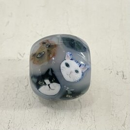 猫ぎゅうぎゅう