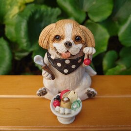 プリンアラモード★シーズーの画像