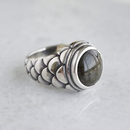 Rebirth ring [R110SV]の画像