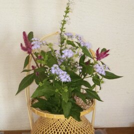 輪口編み 口広3本手つき花籠