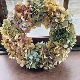 送料無料]ドライフラワーリース◇ピンクッションと、 | iichi 日々の  